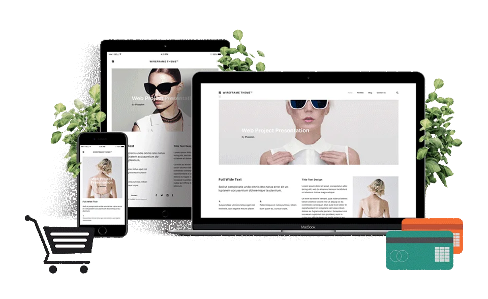 e-commerce web development image
